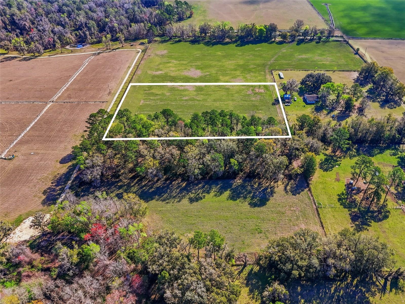 TBD NW COUNTY RD 239, ALACHUA, FL, 32615