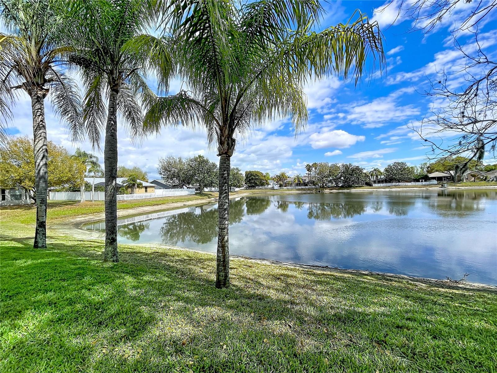 Pond behind House