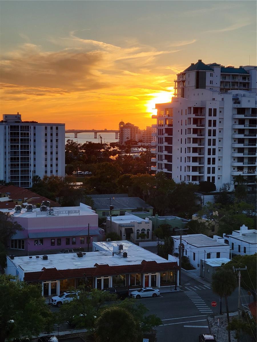 505 S ORANGE AVE #901, SARASOTA, FL, 34236