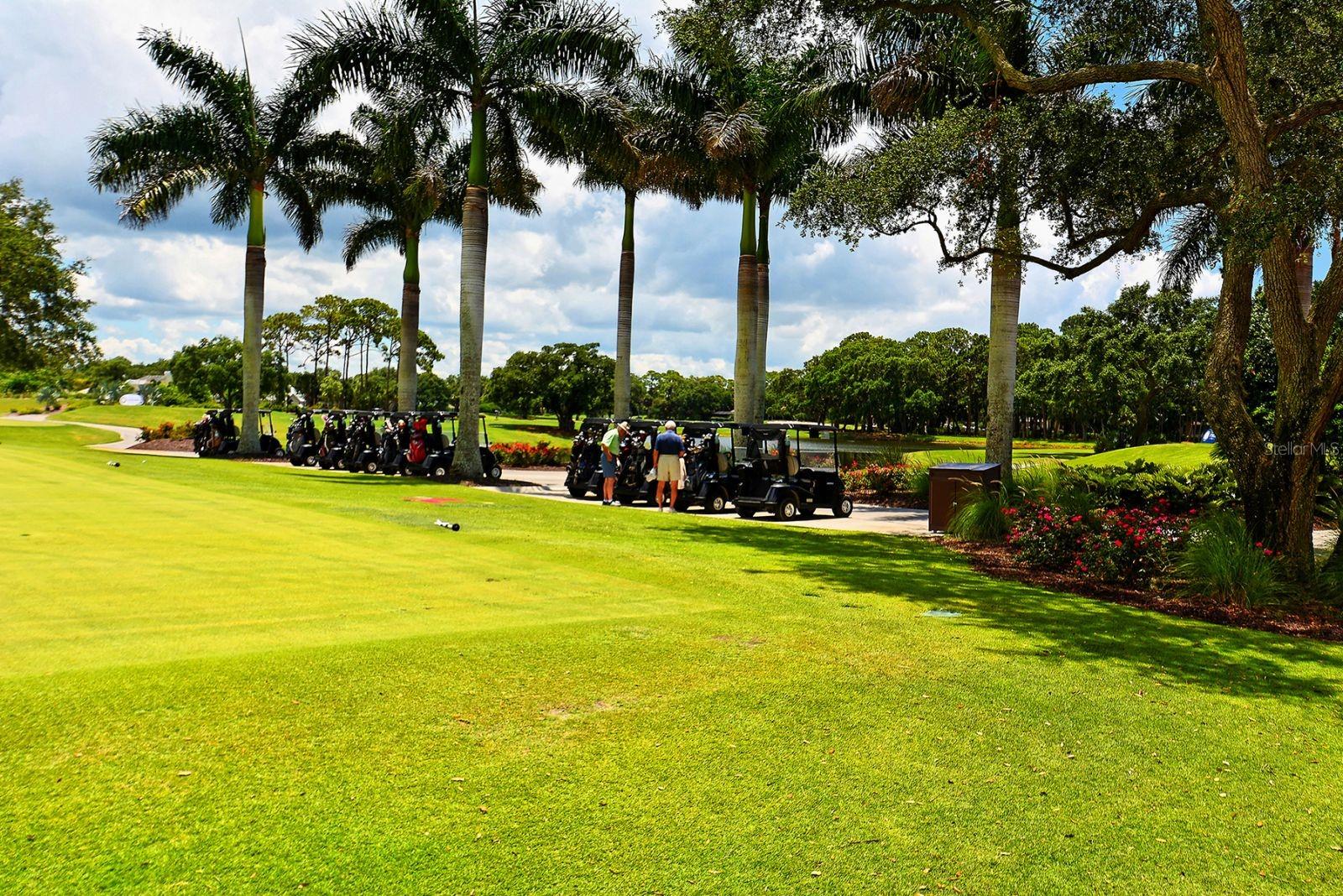 385 NORTH POINT RD #701, OSPREY, FL, 34229