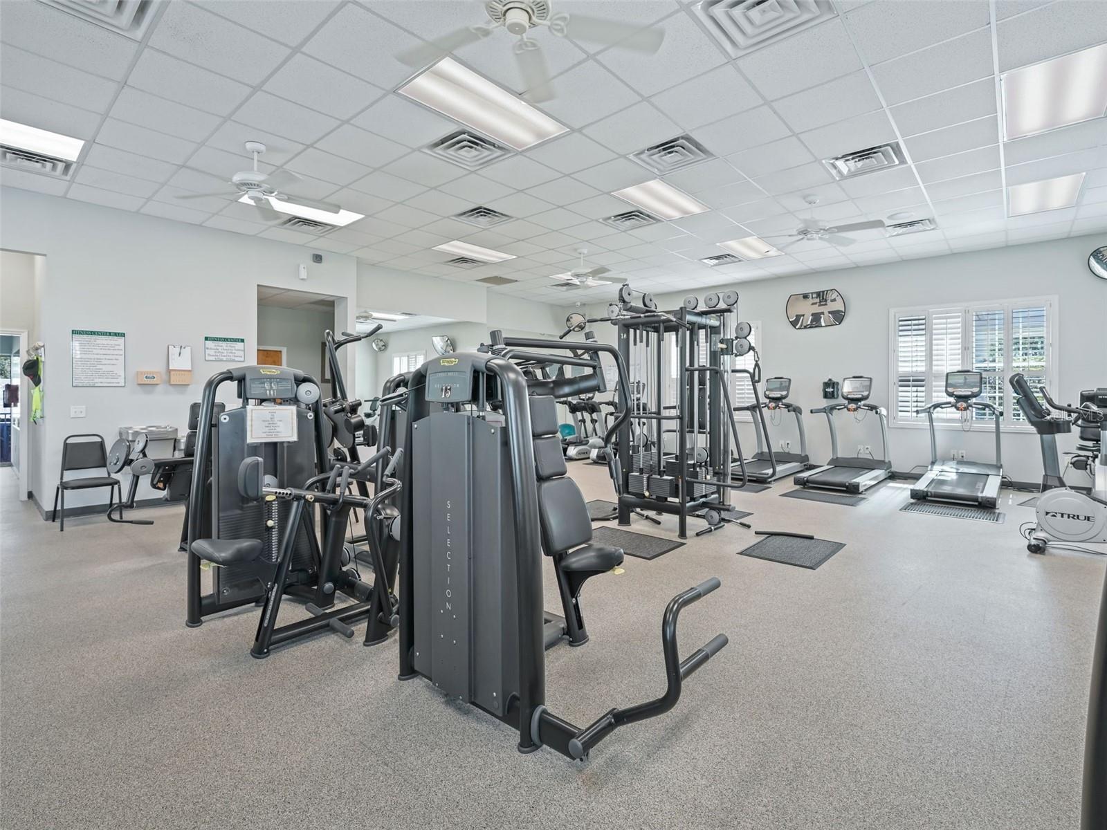 11102 SE 168TH LOOP, SUMMERFIELD, FL, 34491