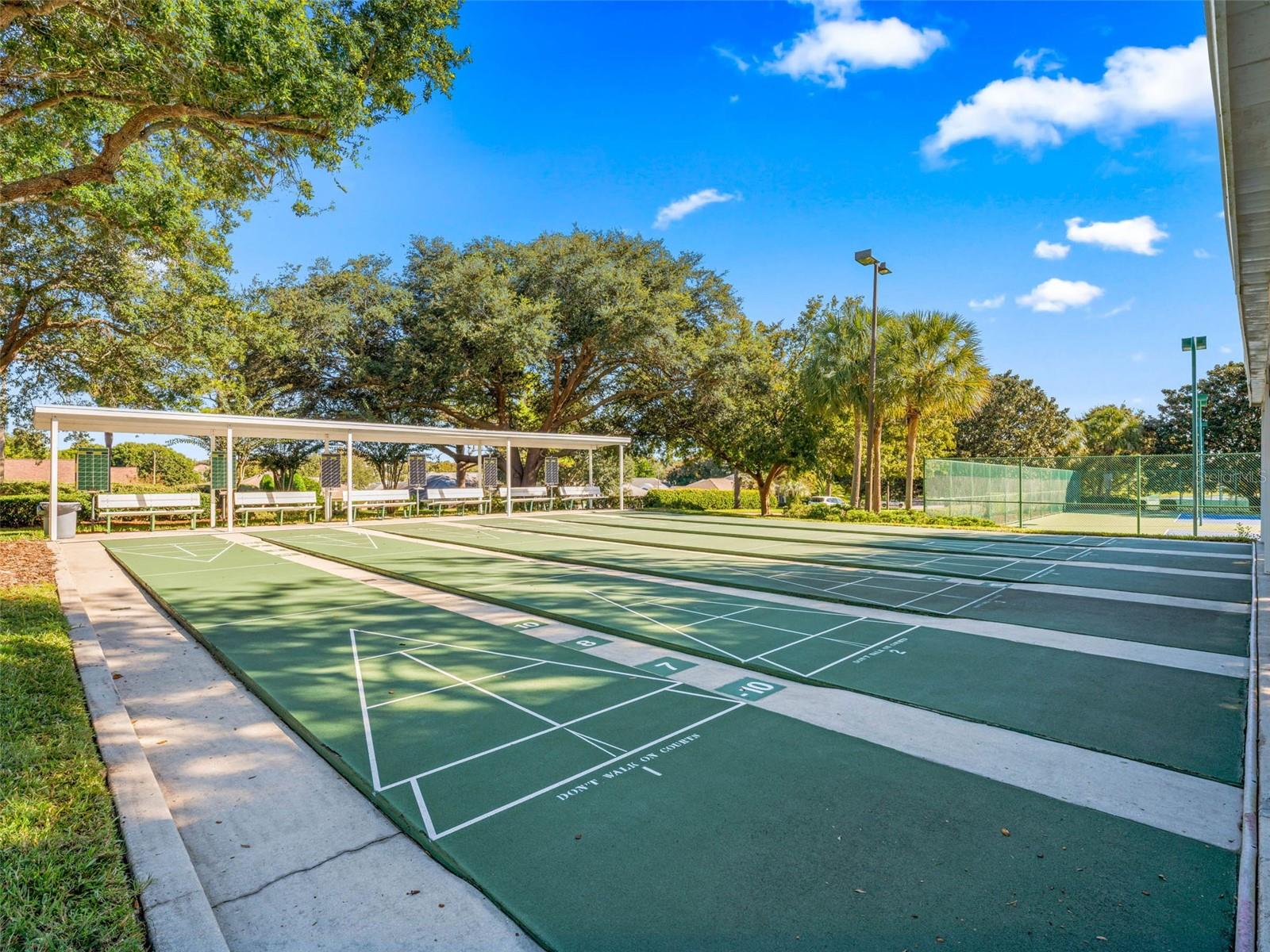 11102 SE 168TH LOOP, SUMMERFIELD, FL, 34491