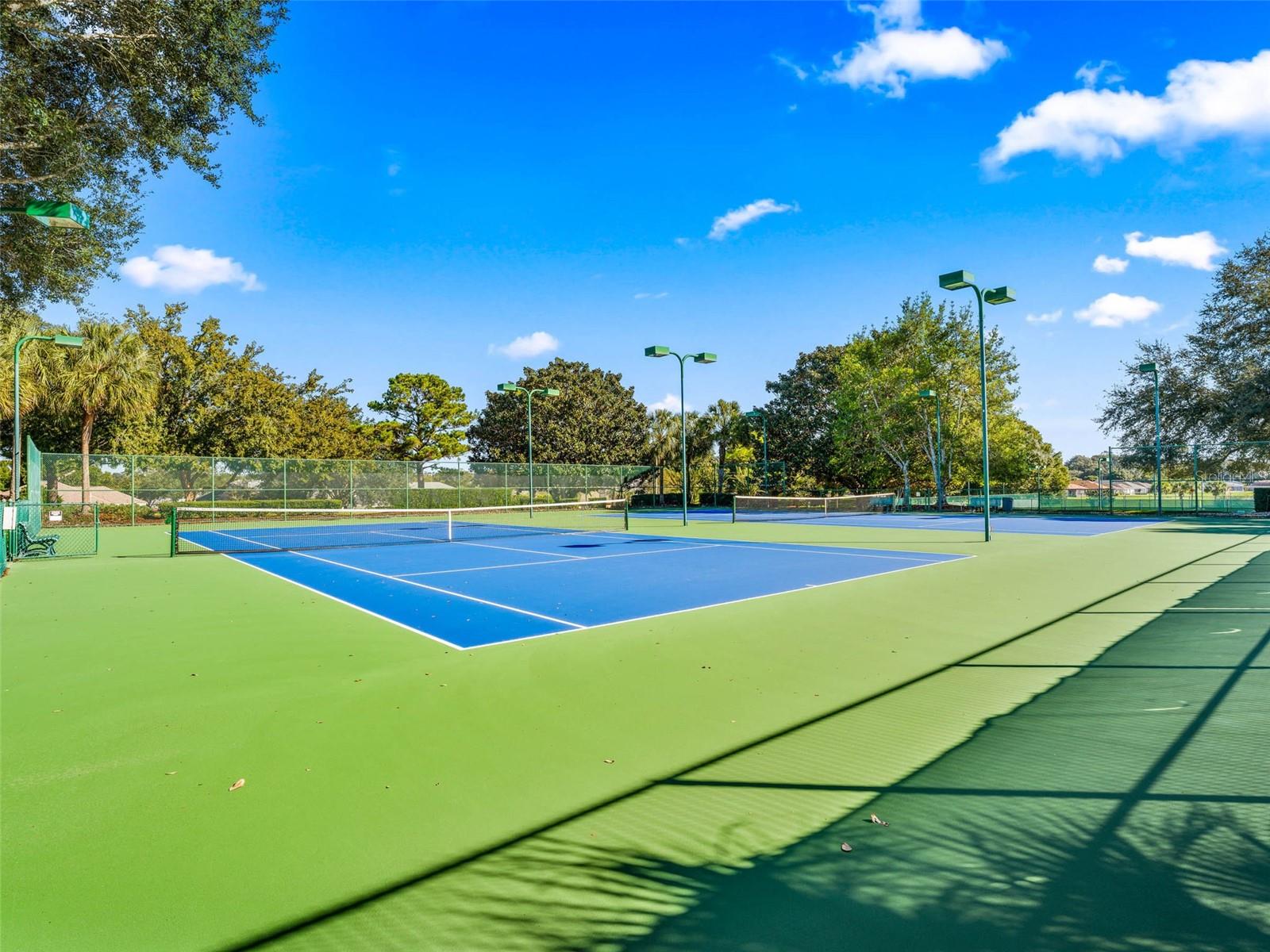 11102 SE 168TH LOOP, SUMMERFIELD, FL, 34491