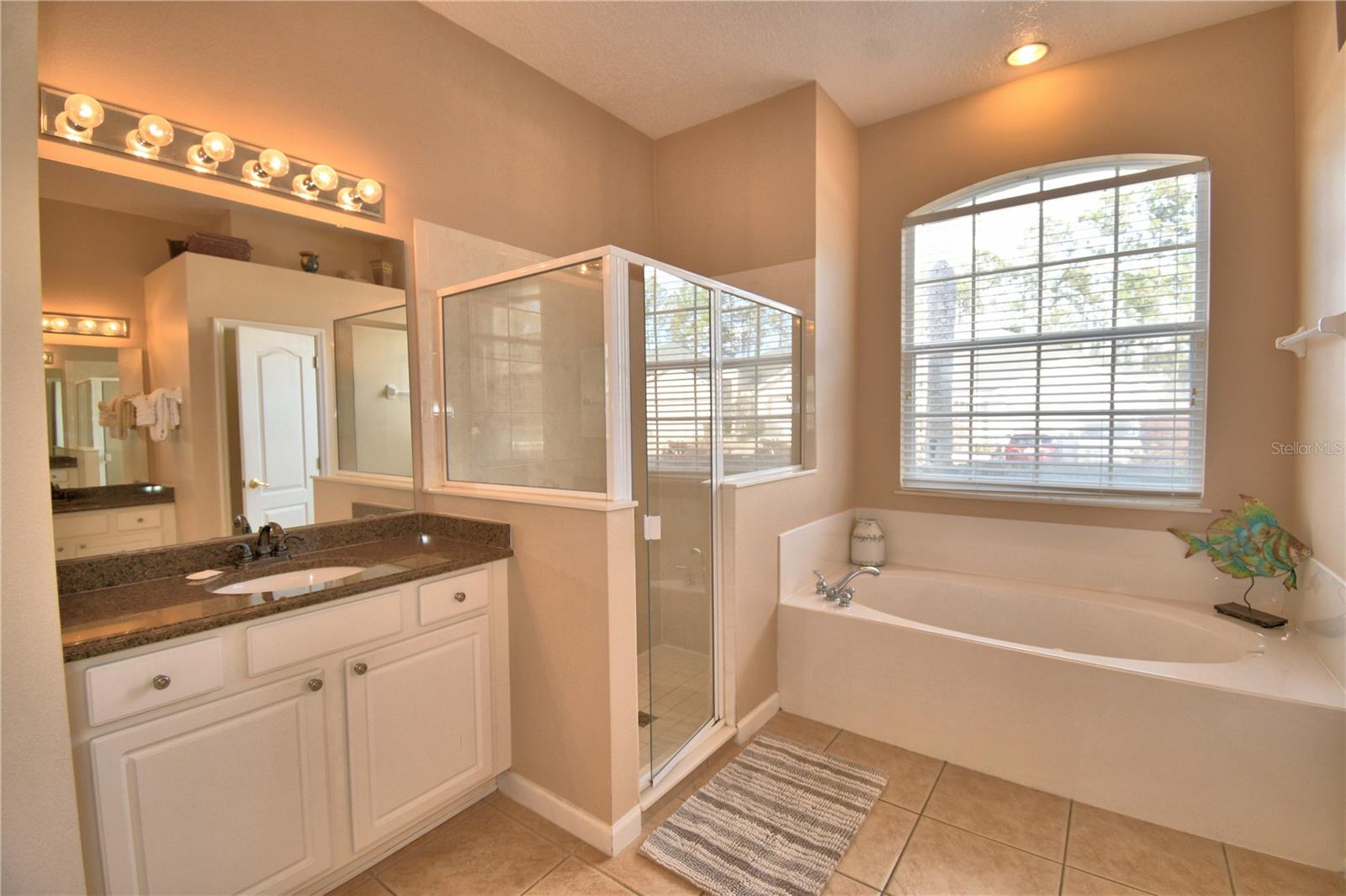 609 N HAMPTON DR, DAVENPORT, FL, 33897