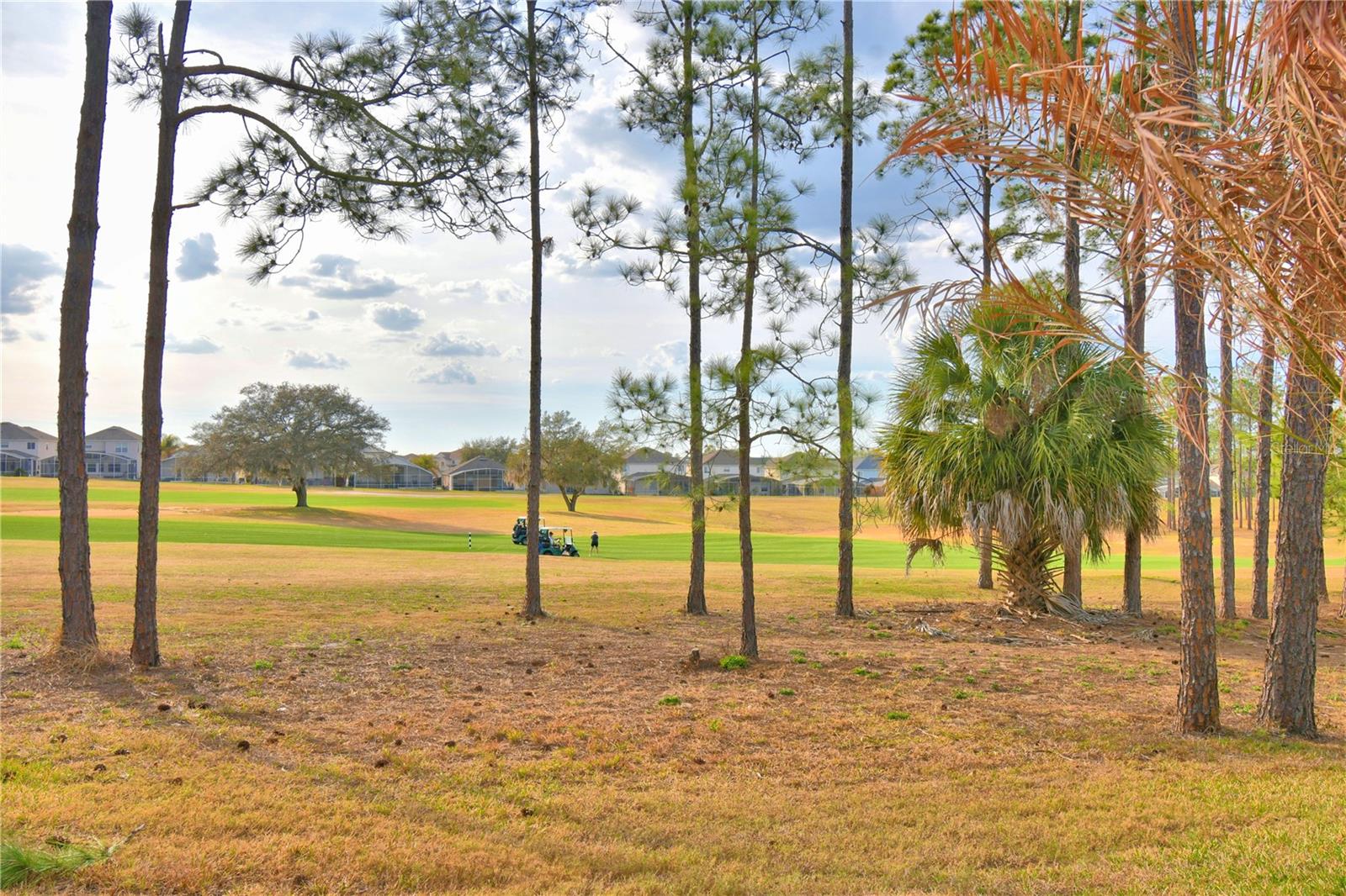 609 N HAMPTON DR, DAVENPORT, FL, 33897