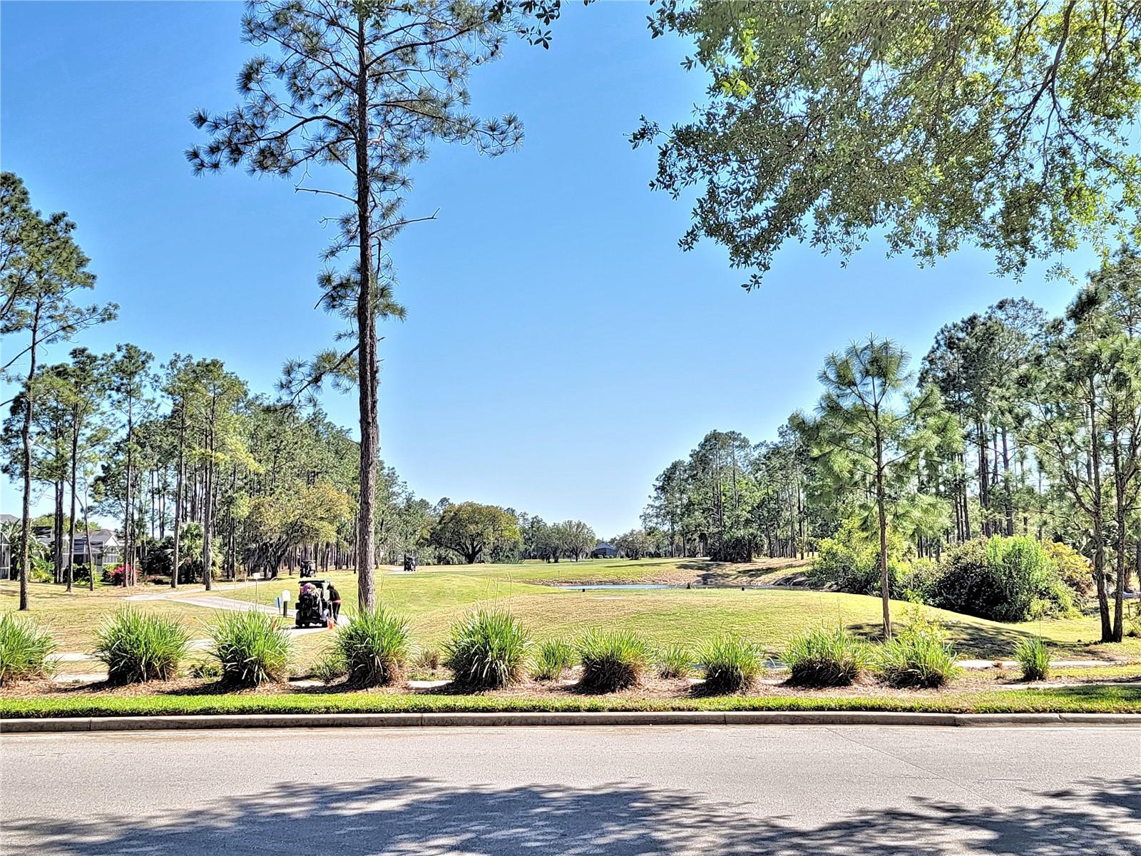 609 N HAMPTON DR, DAVENPORT, FL, 33897