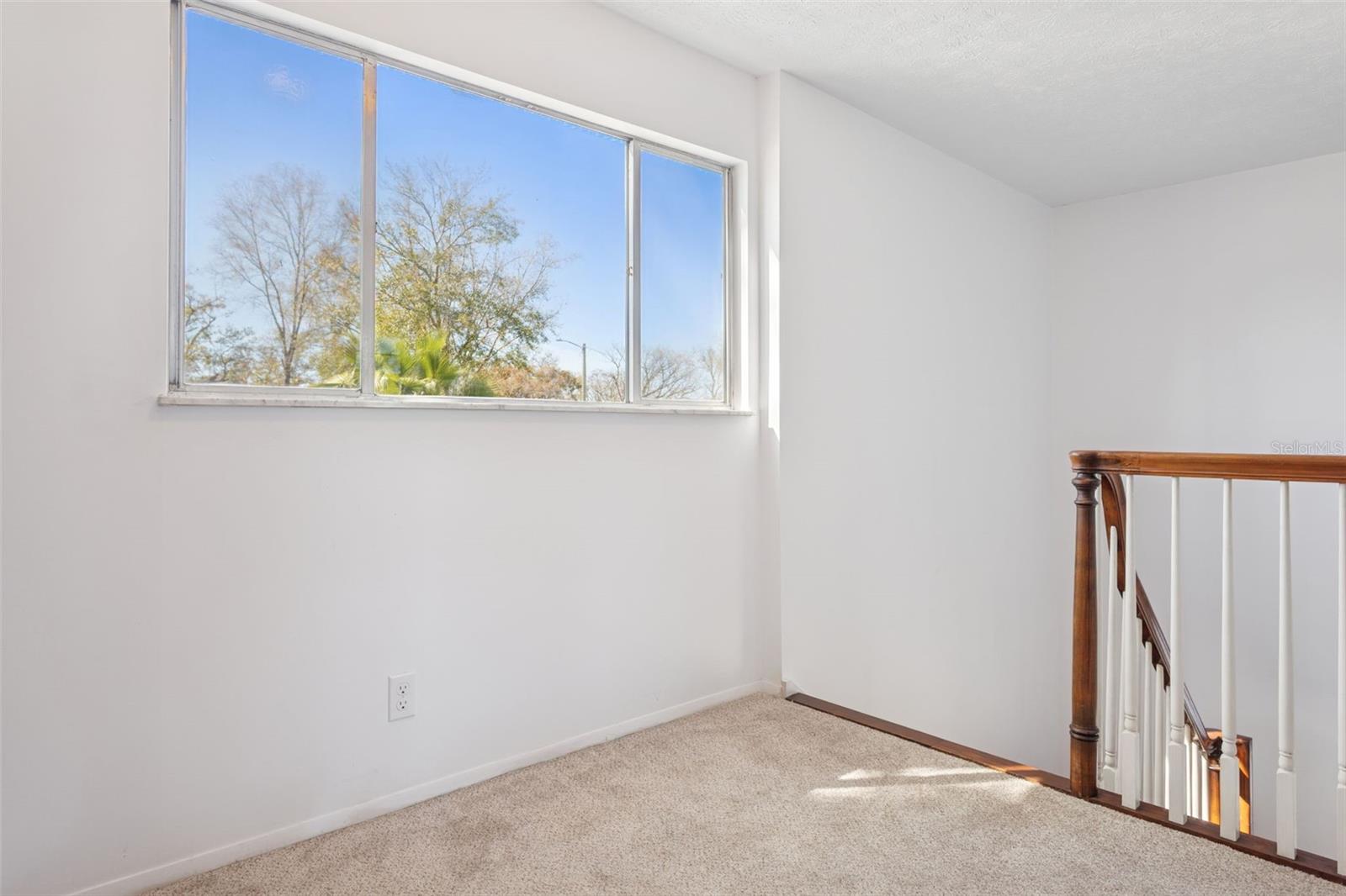 8105 ALPINE AVE, TAMPA, FL, 33619