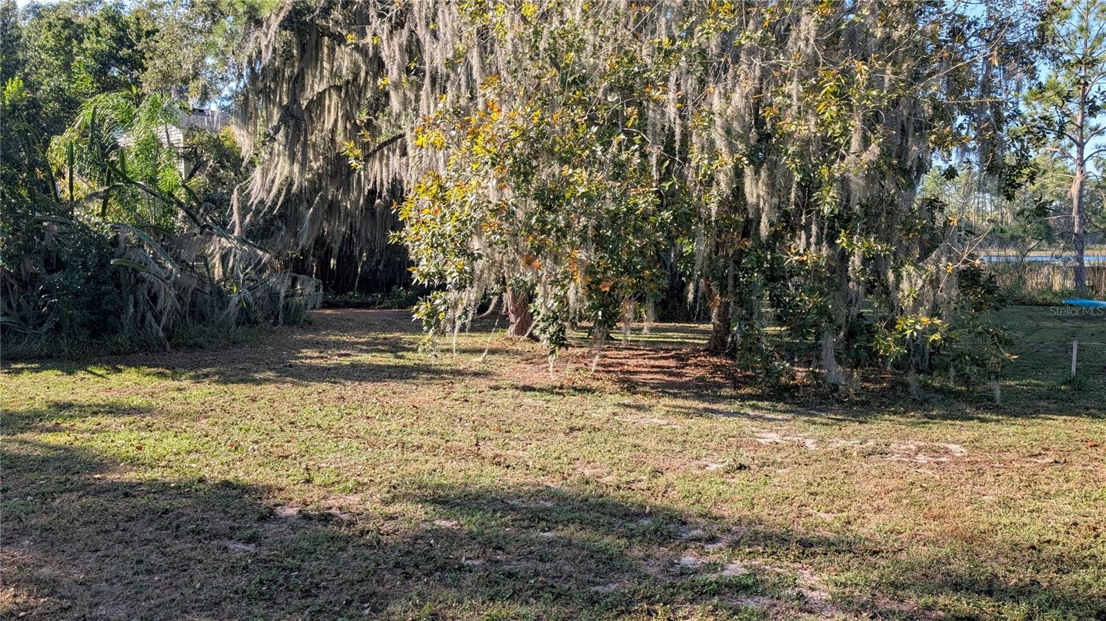 9444 LAKE HICKORY NUT DR, WINTER GARDEN, FL, 34787