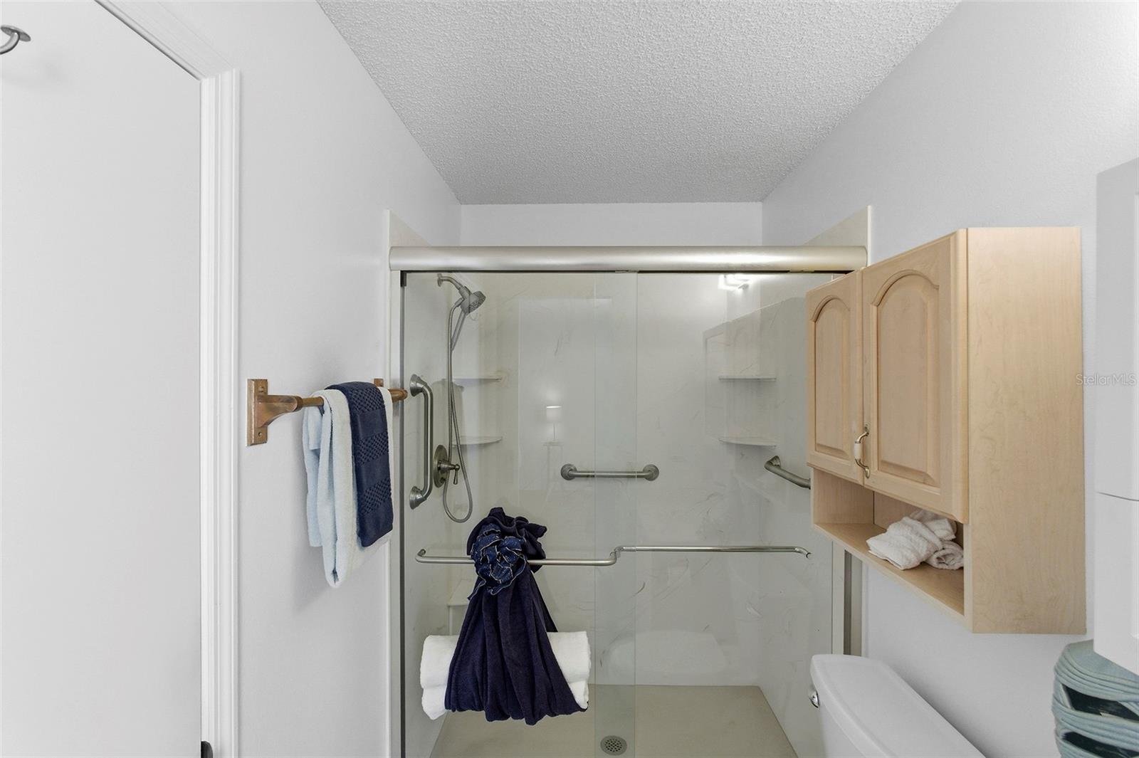 432 HILDALGO DR, THE VILLAGES, FL, 32159