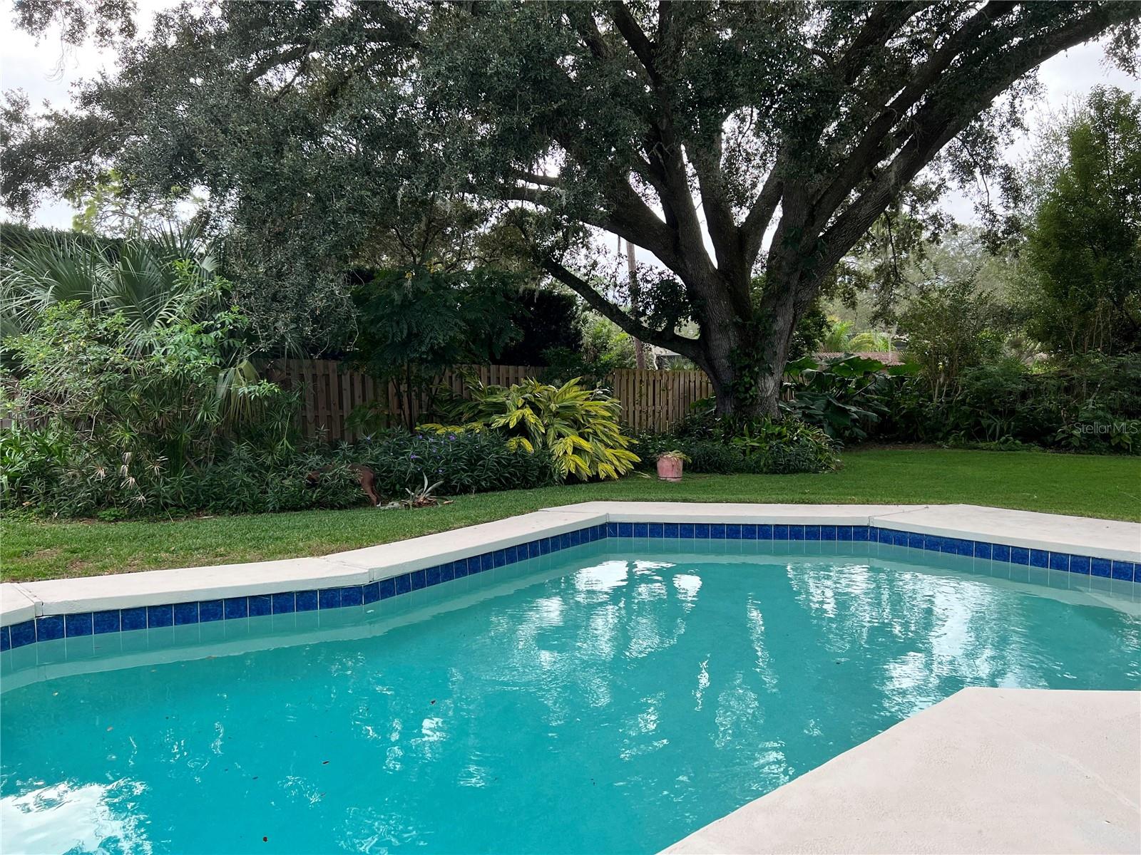 255 E HORNBEAM DR, LONGWOOD, FL, 32779