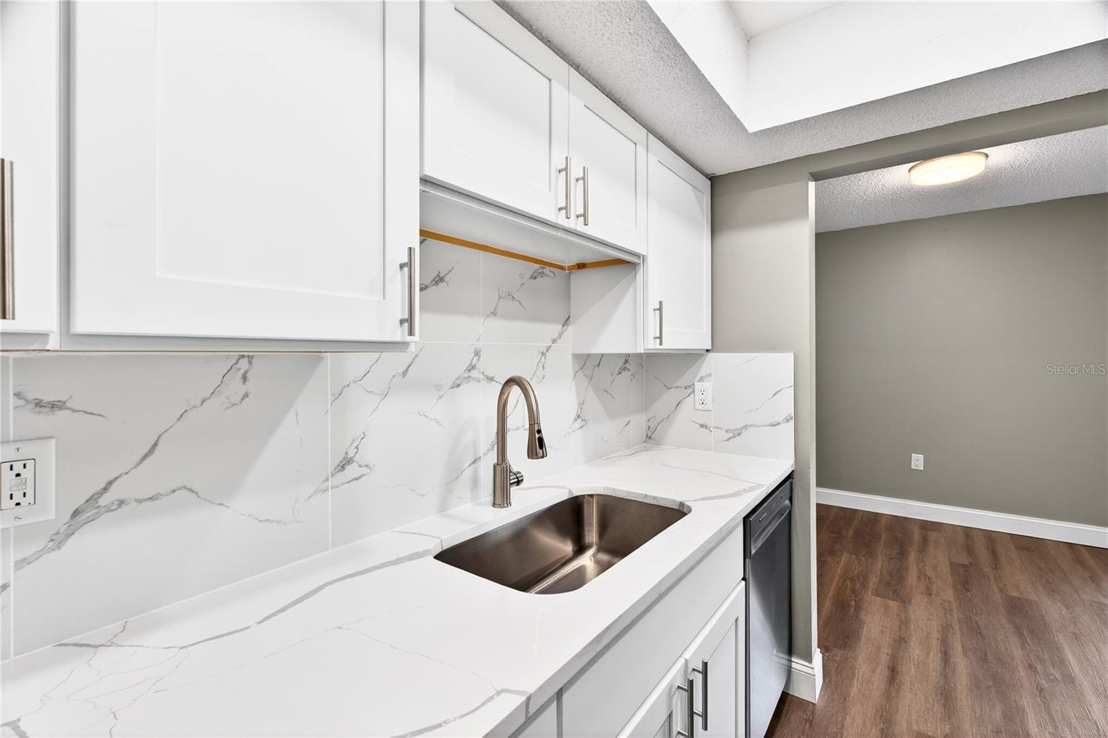 Large new sink and the new faucet