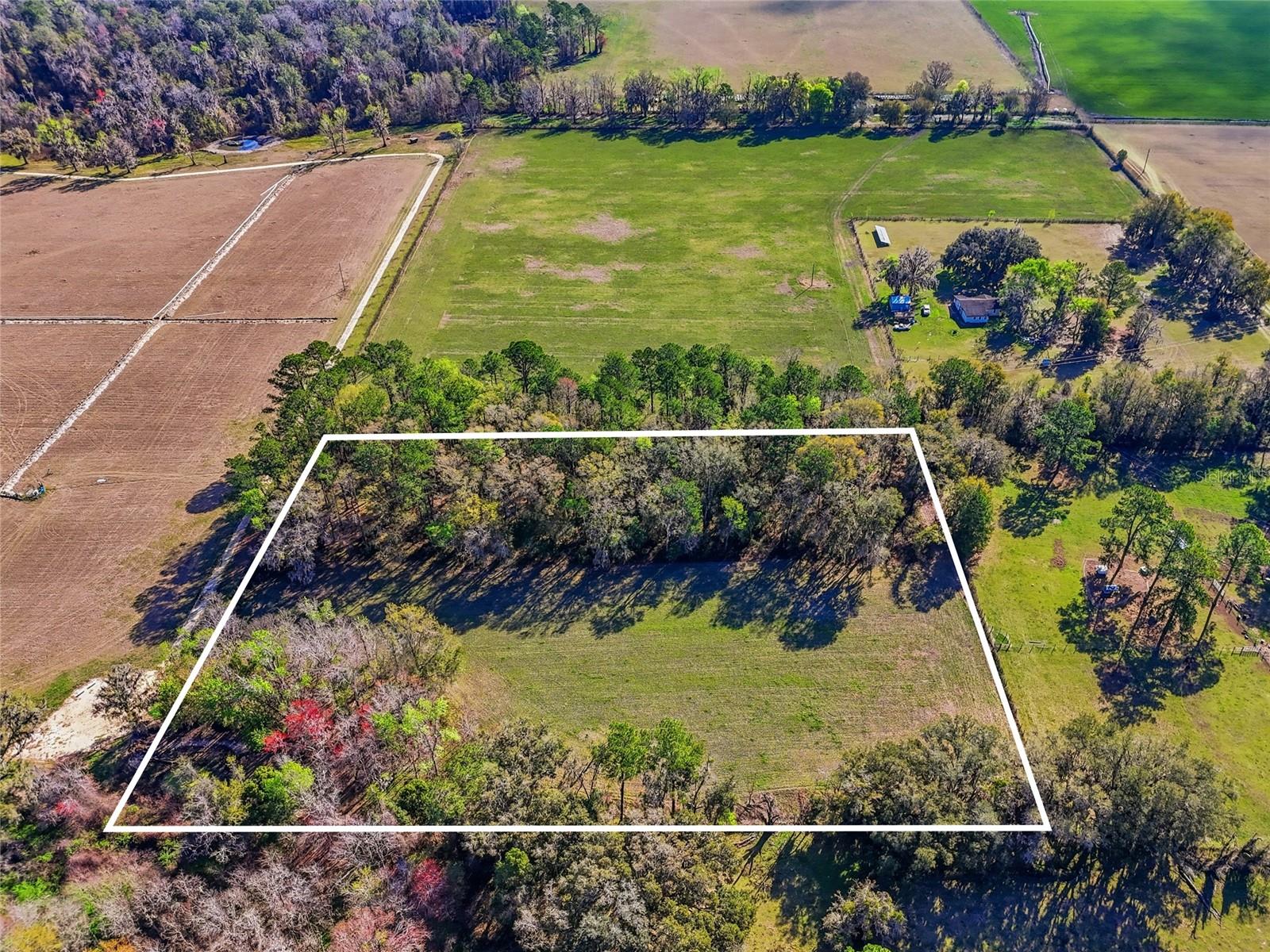 NW COUNTY RD 239, ALACHUA, FL, 32615