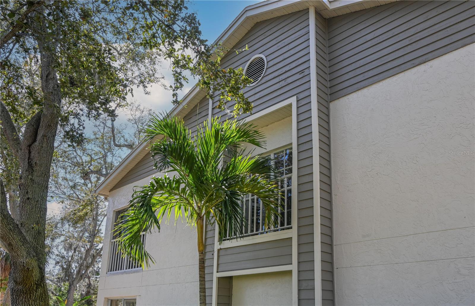 Corner units with additional windows provide more natural light
