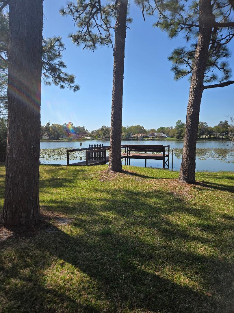 226 N GRIFFIN DR, CASSELBERRY, FL, 32707