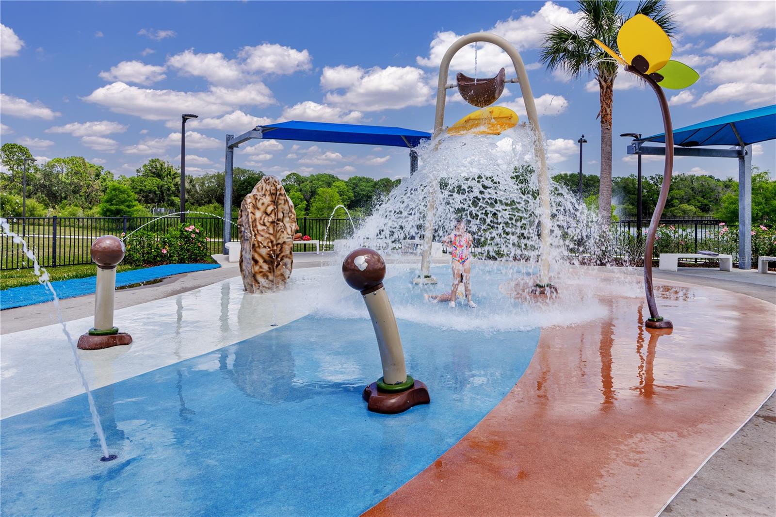 Carrollwood Village Park