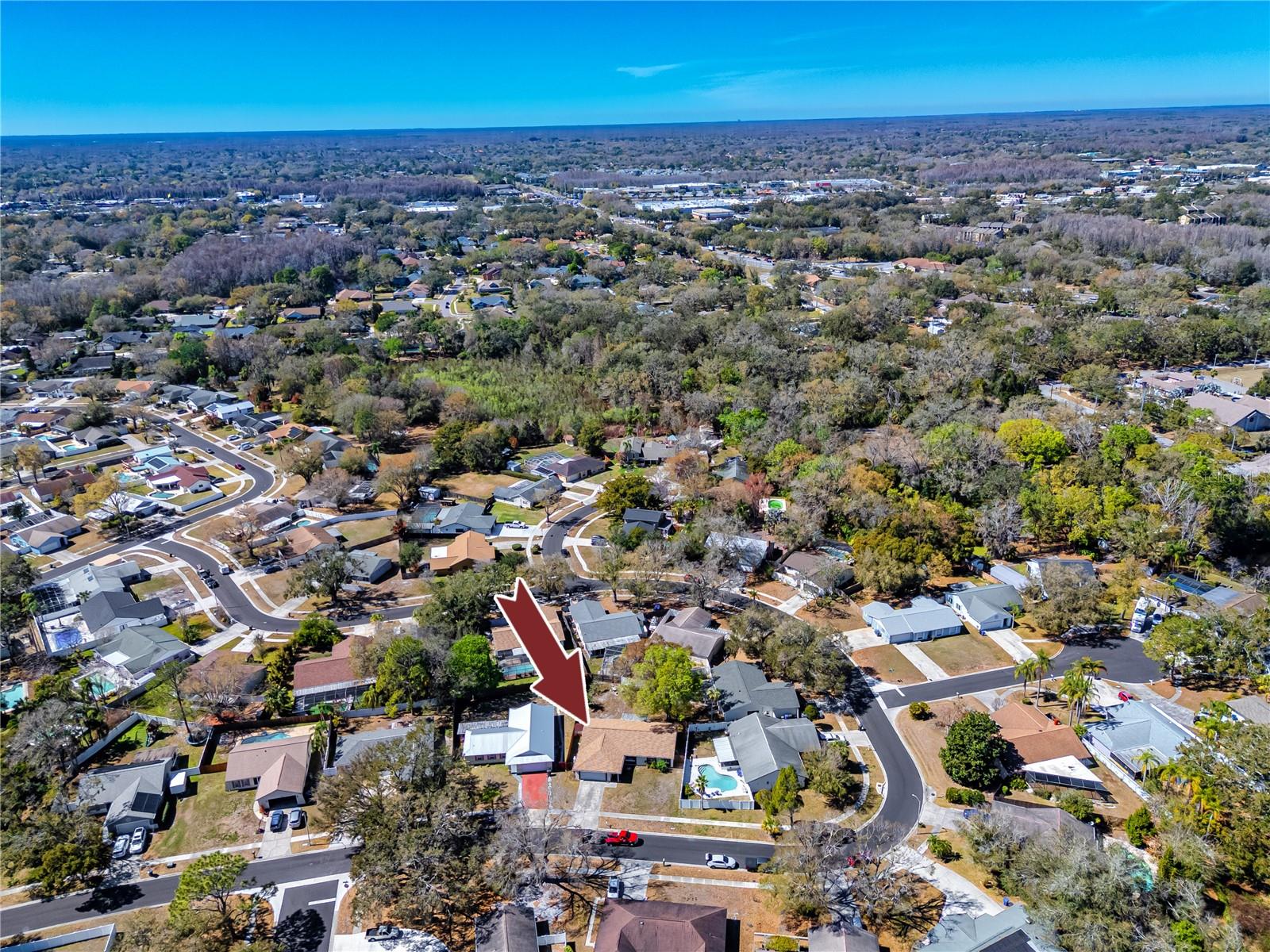 Aerial View of 14012 Cascade Ln, Tampa, FL 33618