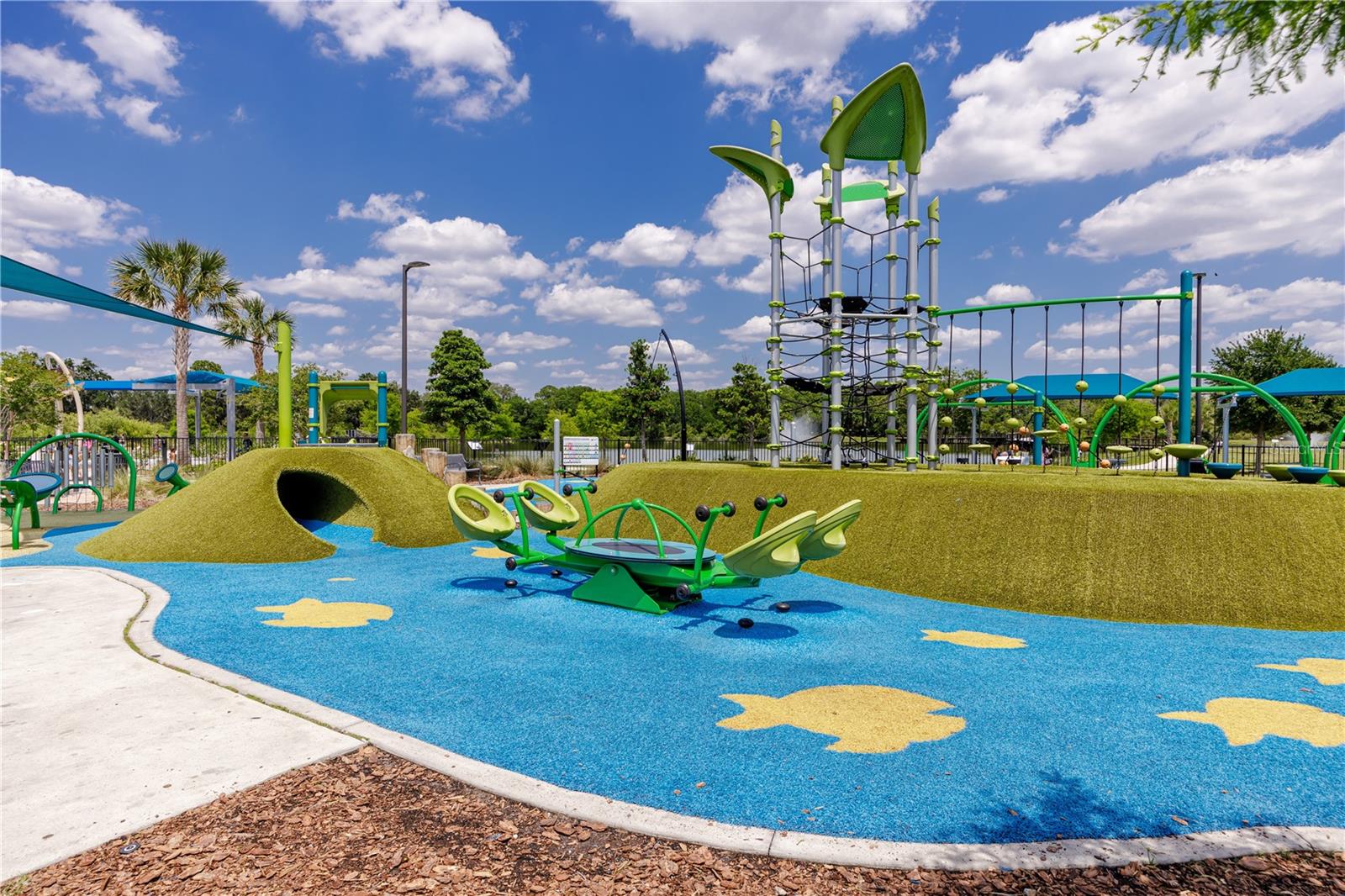 Carrollwood Village Park