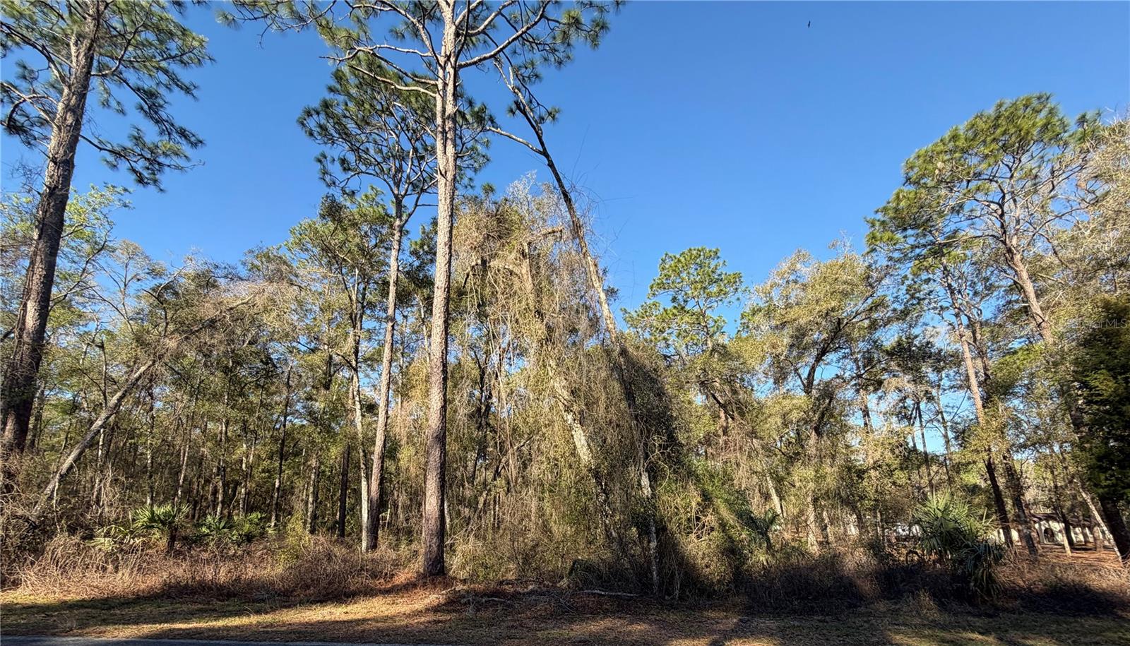 5230 S ROBERT BLAKE AVE, INVERNESS, FL, 34452