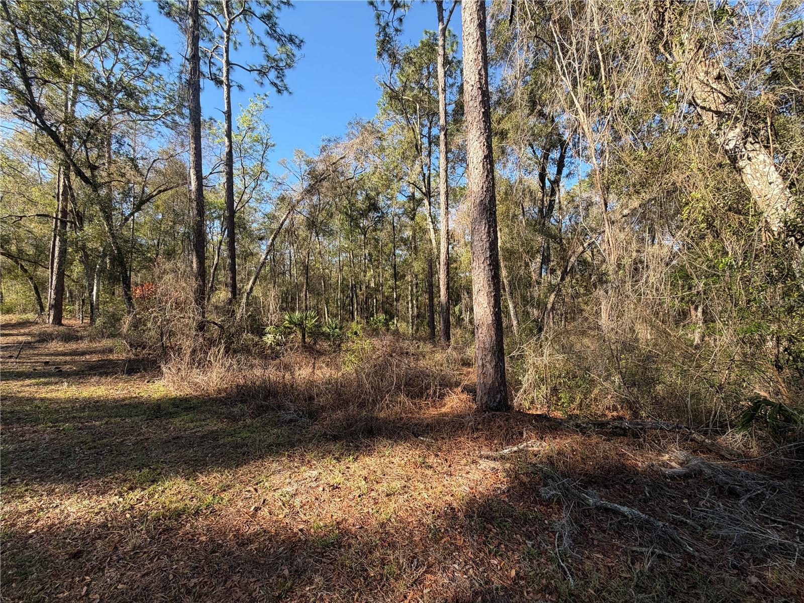 5230 S ROBERT BLAKE AVE, INVERNESS, FL, 34452