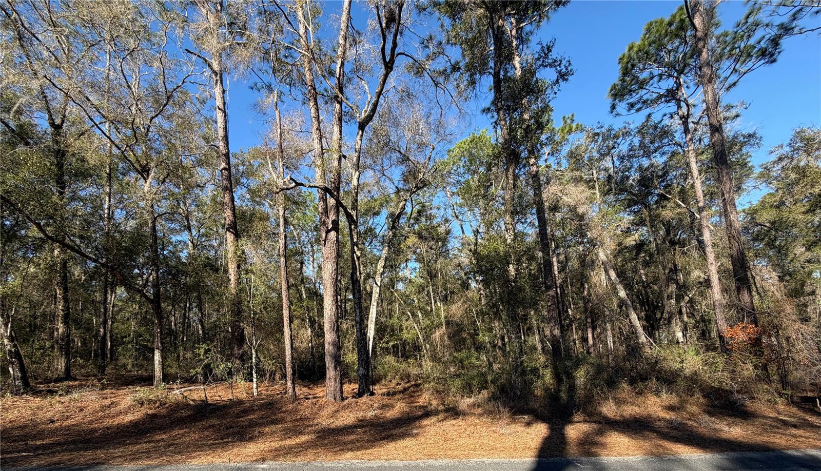 5230 S ROBERT BLAKE AVE, INVERNESS, FL, 34452