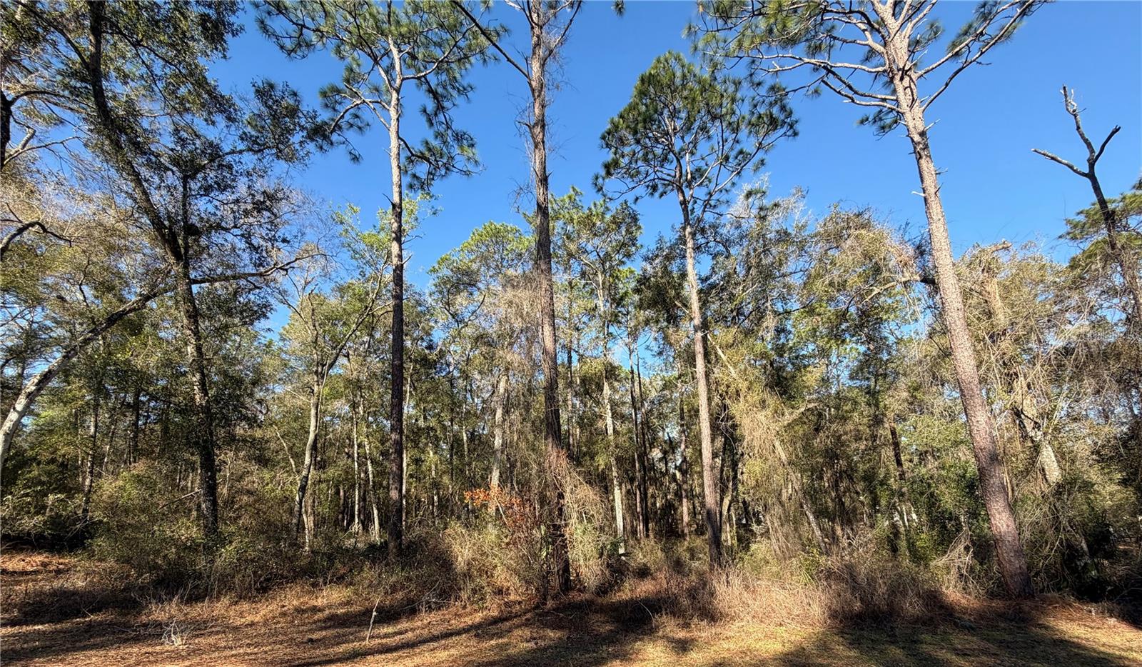 5230 S ROBERT BLAKE AVE, INVERNESS, FL, 34452