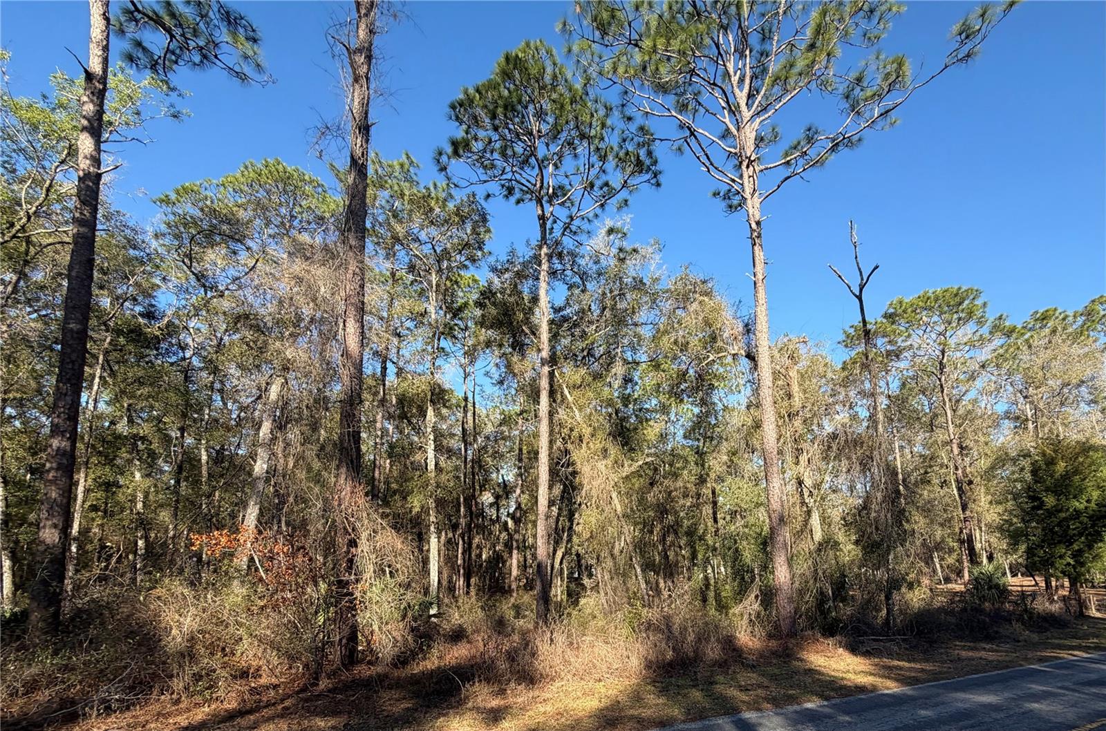 5230 S ROBERT BLAKE AVE, INVERNESS, FL, 34452