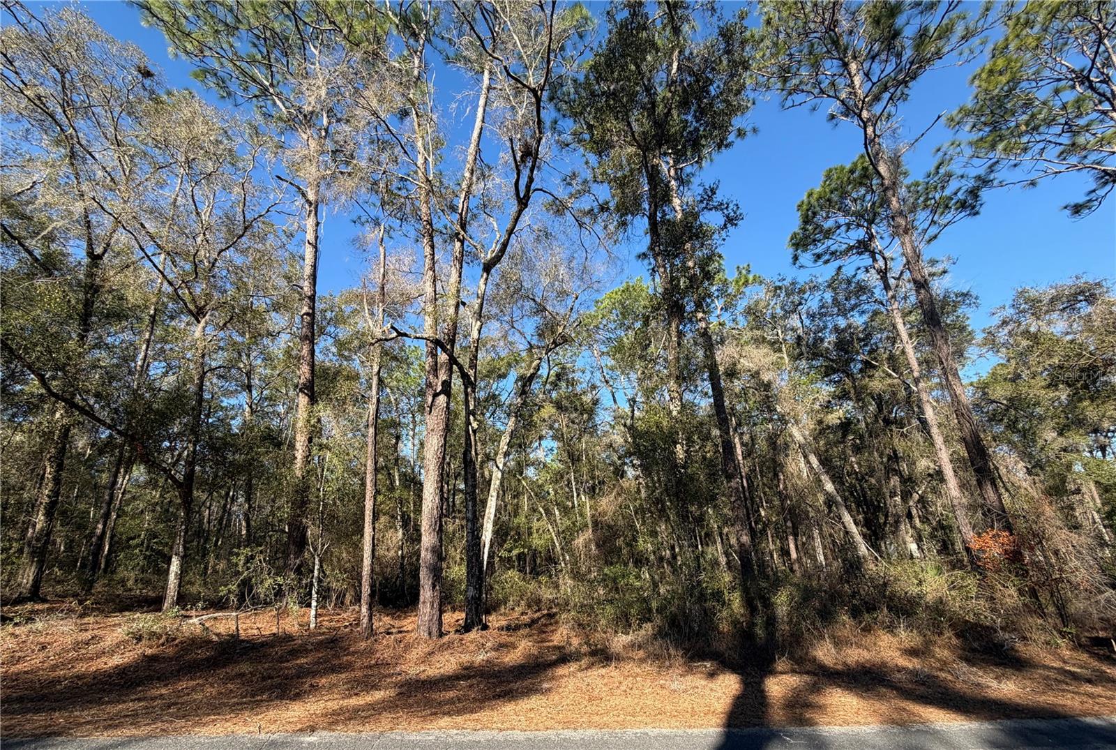 5230 S ROBERT BLAKE AVE, INVERNESS, FL, 34452