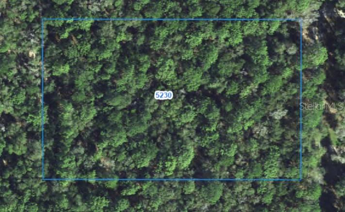 5230 S ROBERT BLAKE AVE, INVERNESS, FL, 34452