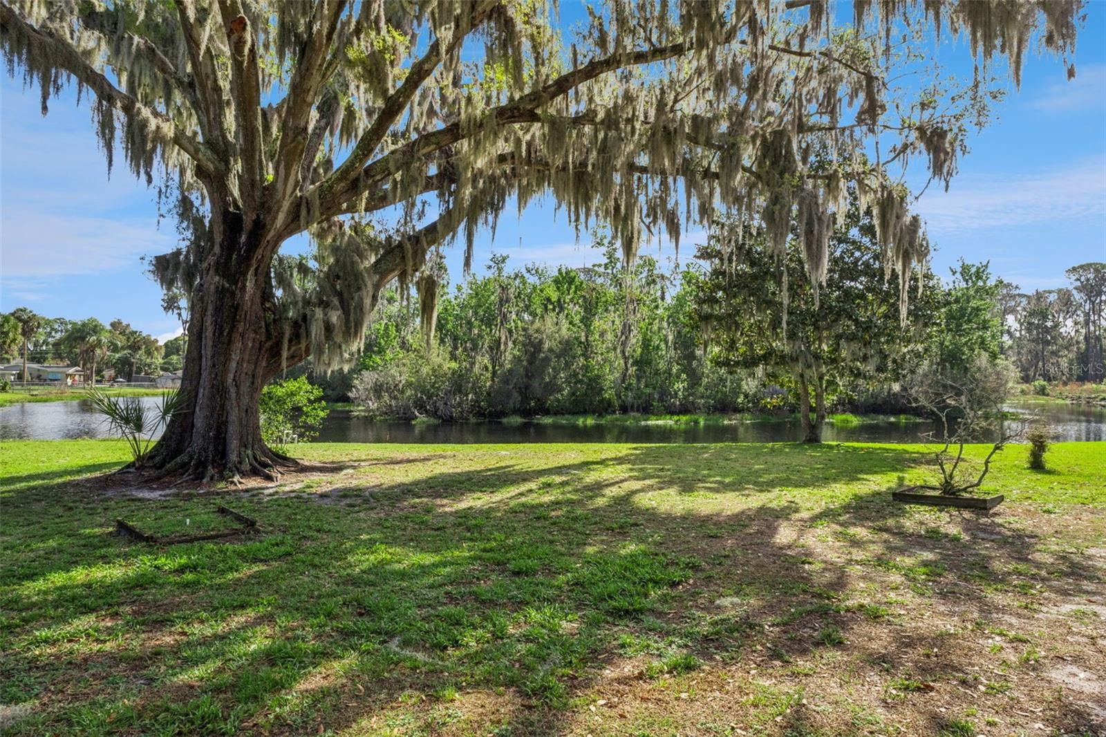 709 LAKESHORE DR, EUSTIS, FL, 32726