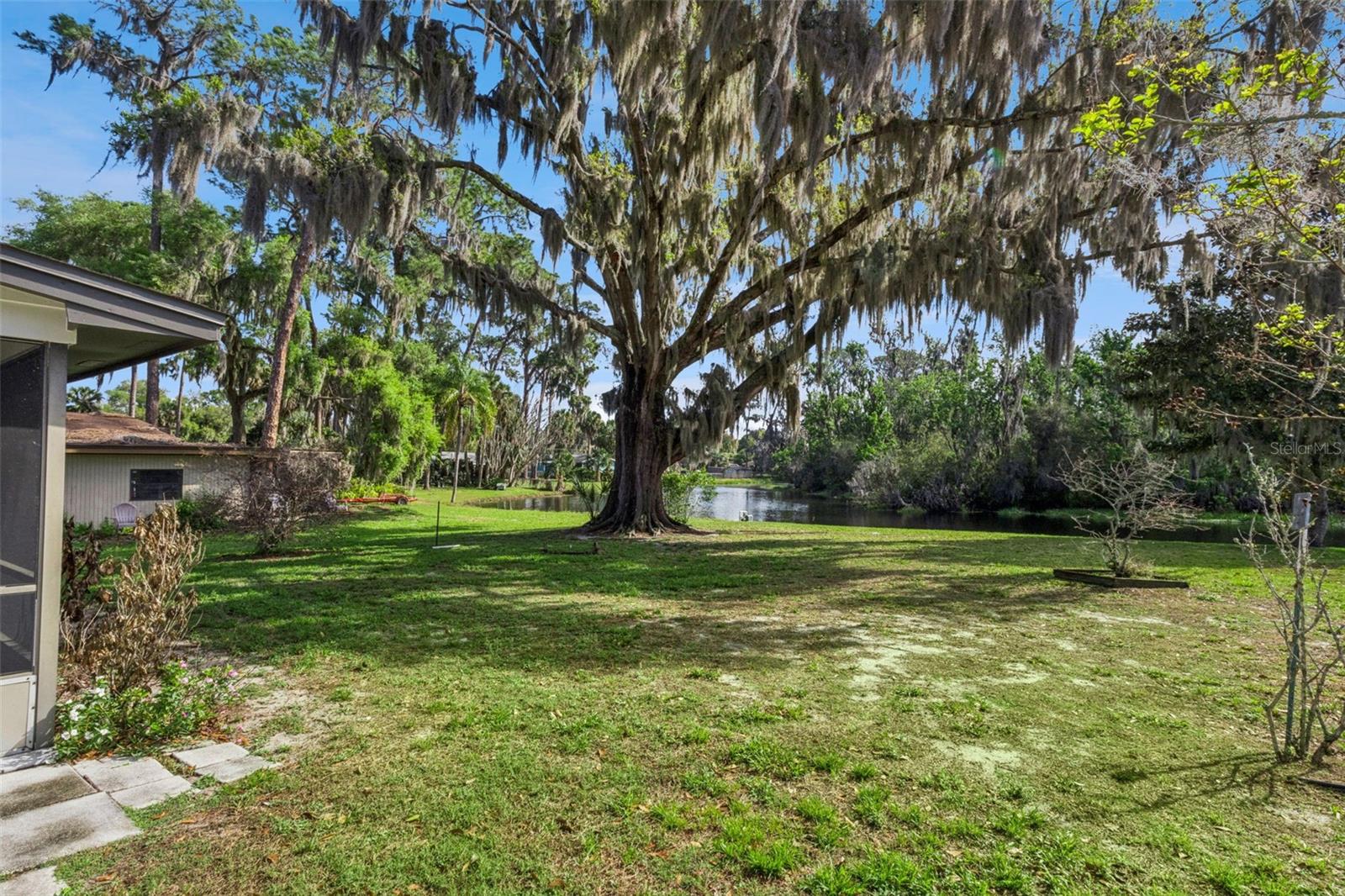 709 LAKESHORE DR, EUSTIS, FL, 32726