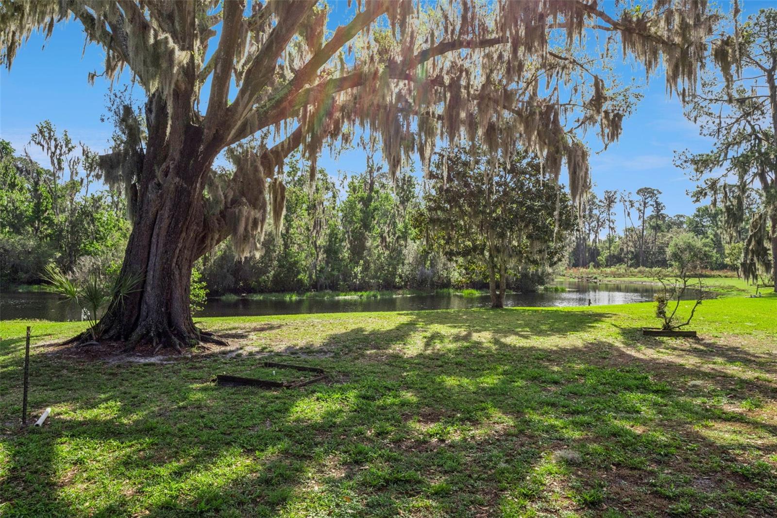 709 LAKESHORE DR, EUSTIS, FL, 32726