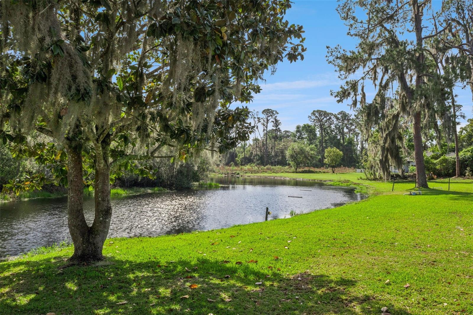 709 LAKESHORE DR, EUSTIS, FL, 32726