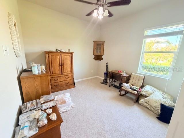 16214 MULHOLLAND RD, PARRISH, FL, 34219