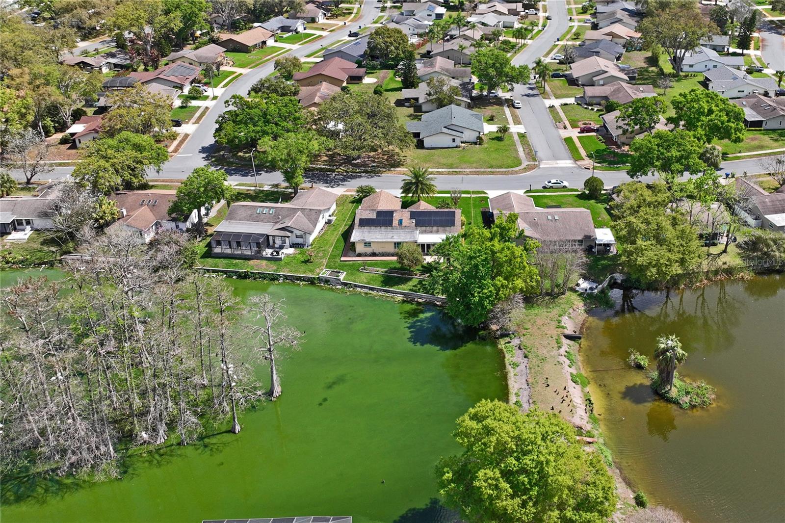 3817 ERIN BROOK DR, NEW PORT RICHEY, FL, 34655