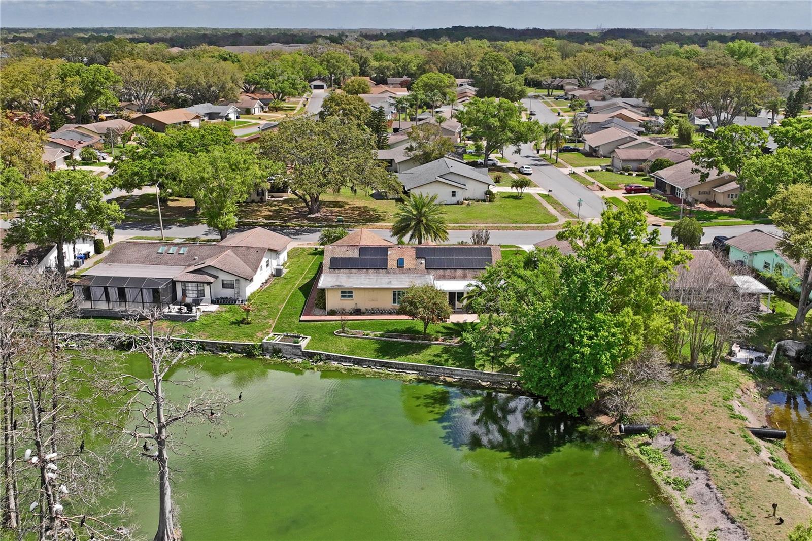 3817 ERIN BROOK DR, NEW PORT RICHEY, FL, 34655
