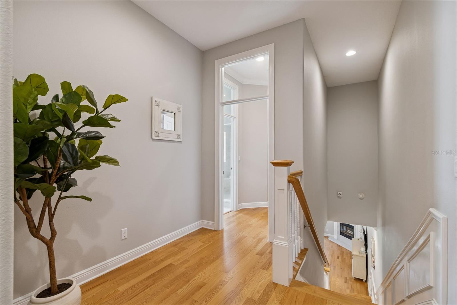 610 SAXONY BLVD, ST PETERSBURG, FL, 33716