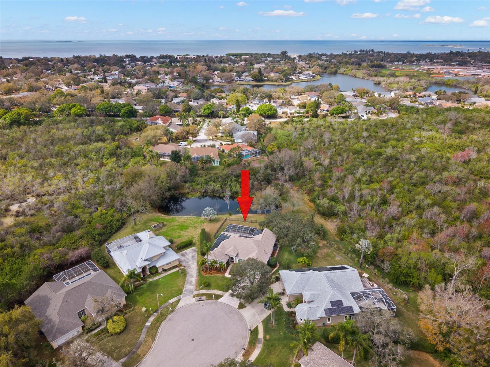 723 WATERSIDE CT, TARPON SPRINGS, FL, 34689