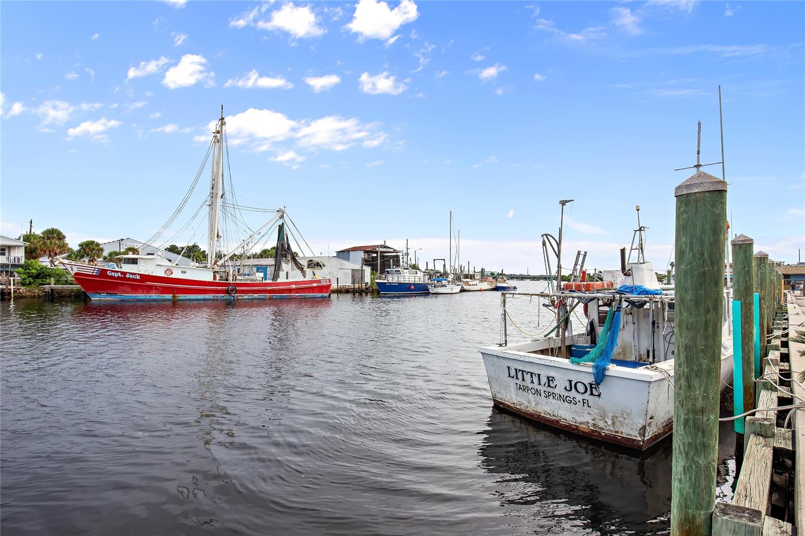 723 WATERSIDE CT, TARPON SPRINGS, FL, 34689