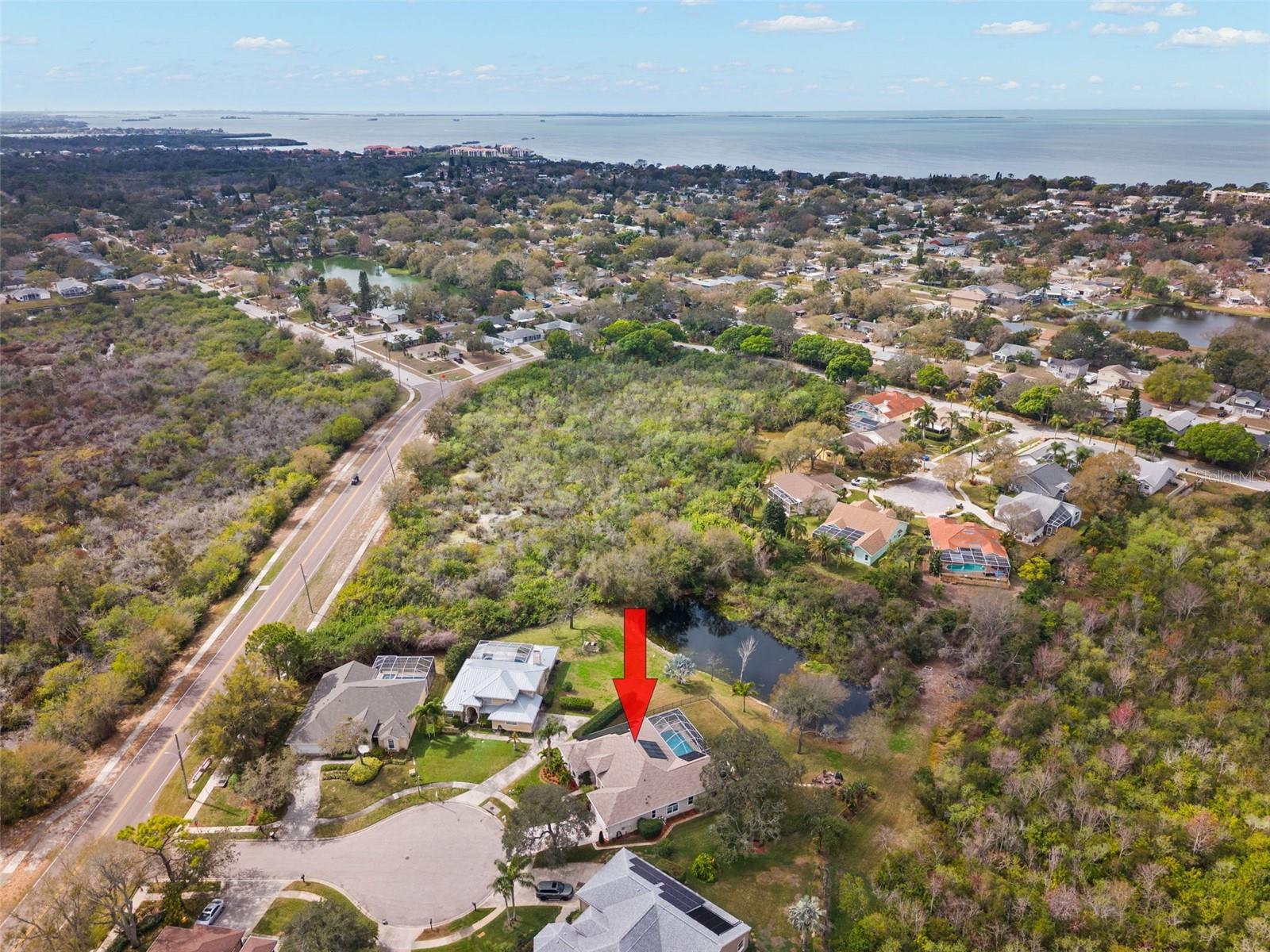 723 WATERSIDE CT, TARPON SPRINGS, FL, 34689