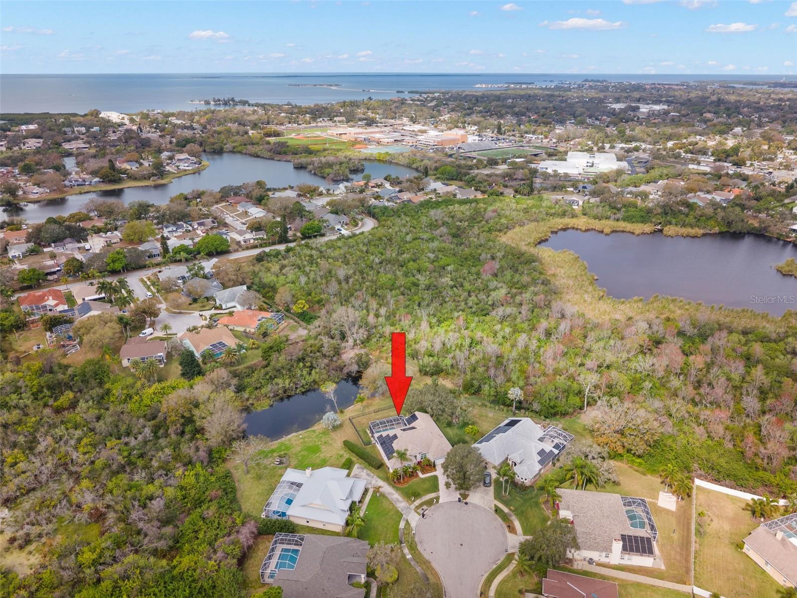 723 WATERSIDE CT, TARPON SPRINGS, FL, 34689