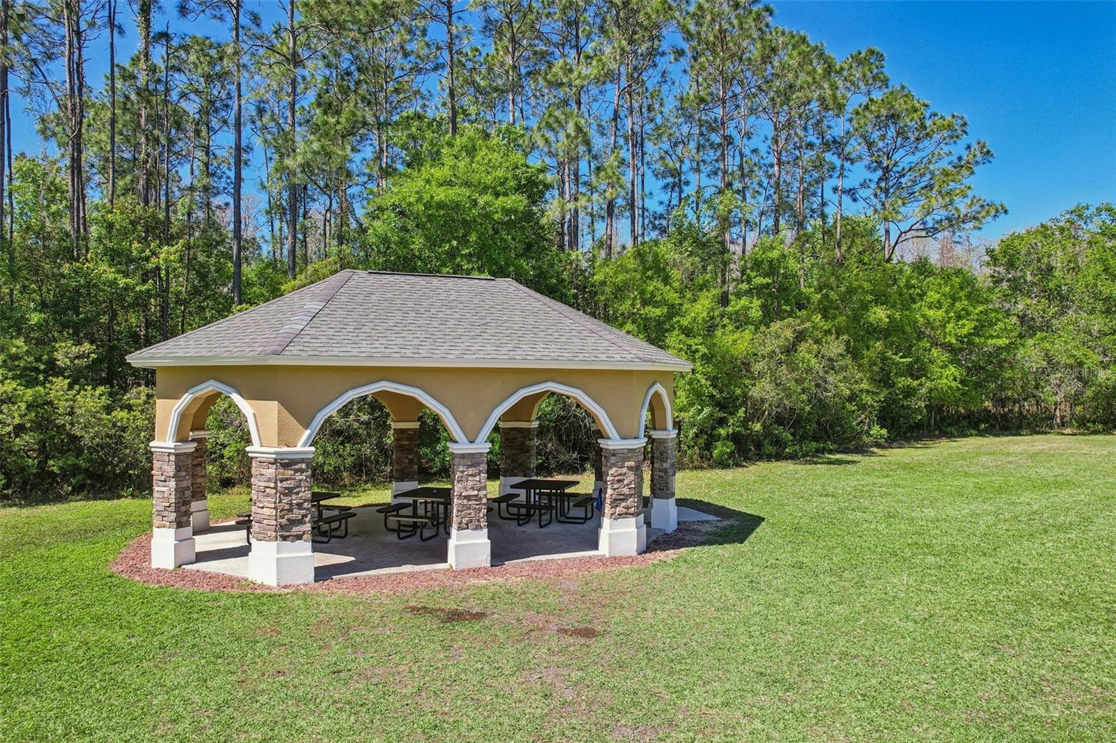 2916 DEVONOAK BLVD, LAND O LAKES, FL, 34638