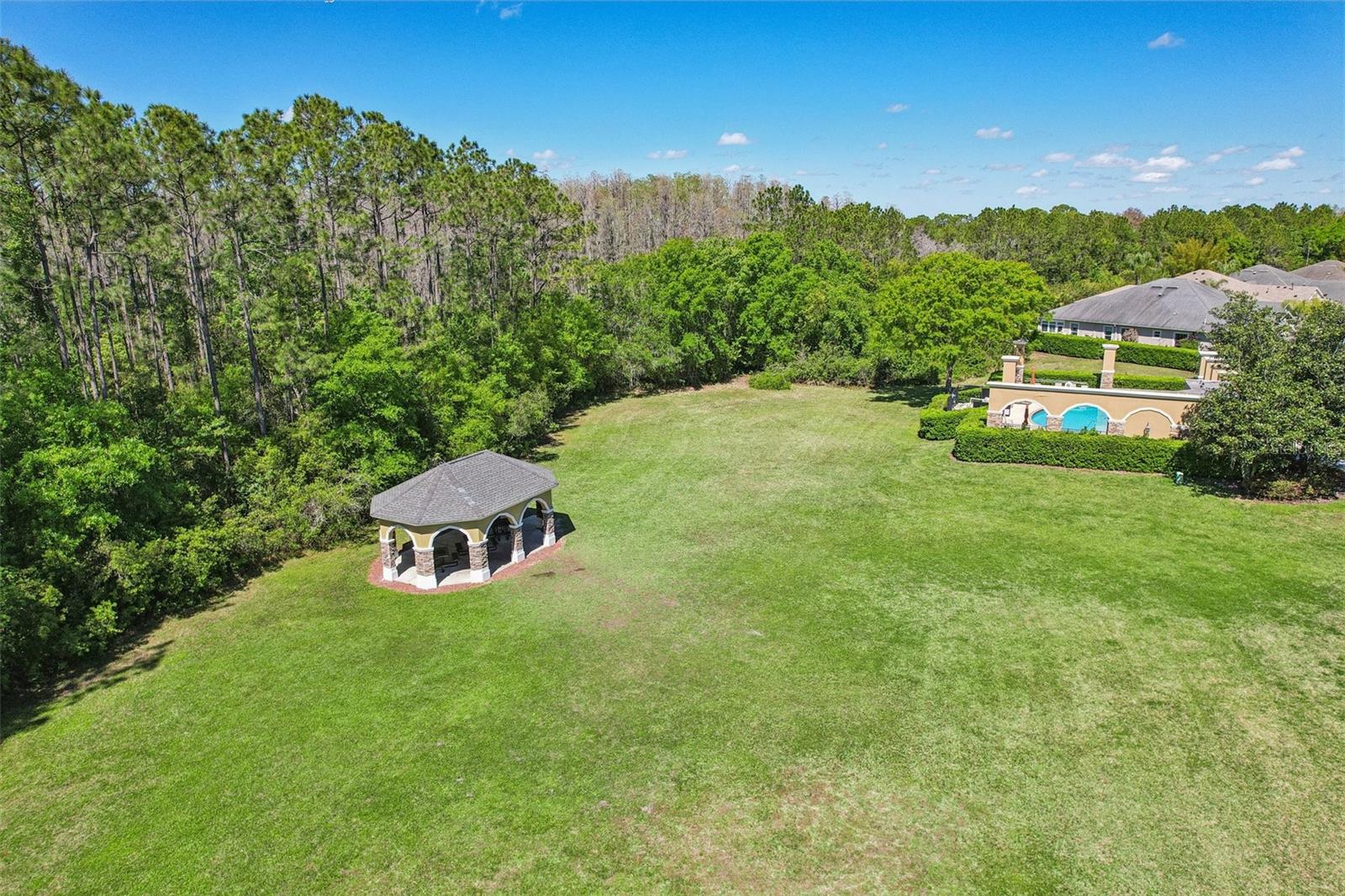 2916 DEVONOAK BLVD, LAND O LAKES, FL, 34638