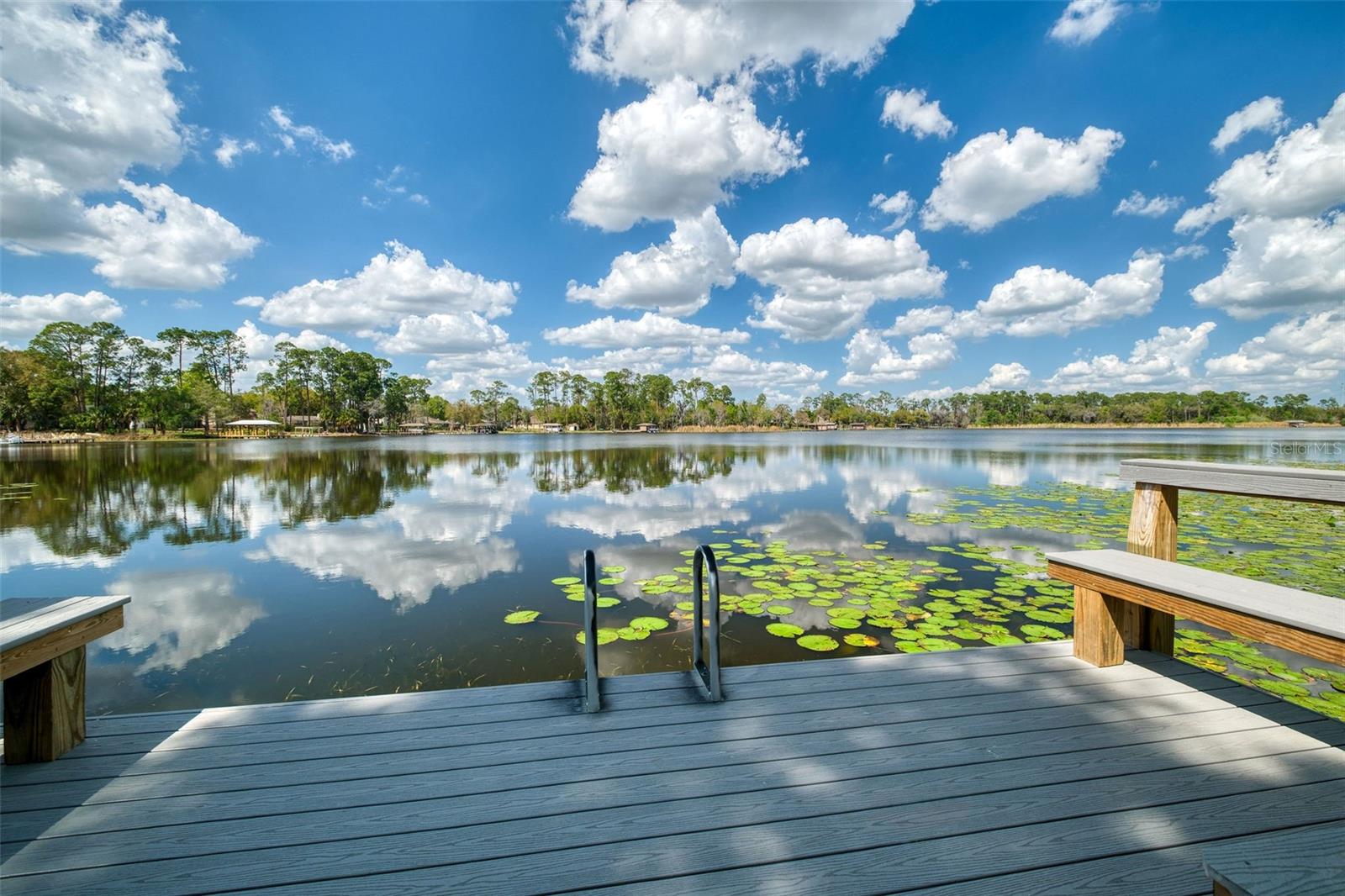 8878 LARWIN LN, ORLANDO, FL, 32817