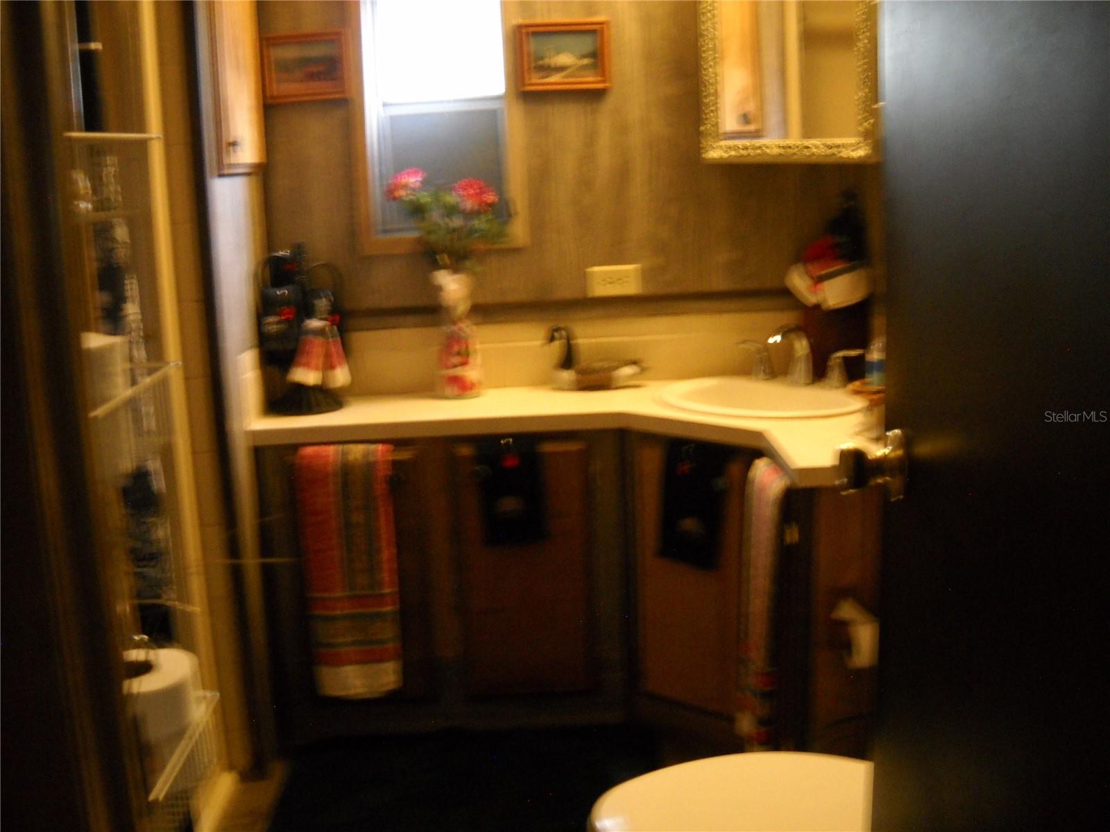 4881 NW 69TH ST, OCALA, FL, 34482