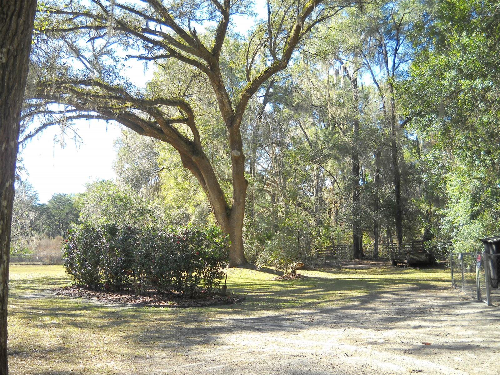 4881 NW 69TH ST, OCALA, FL, 34482