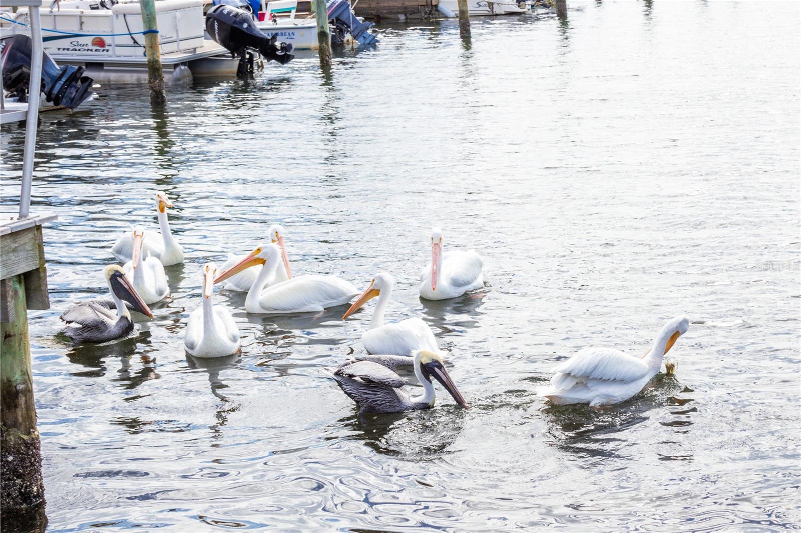 10315 CORTEZ RD W #28-1, BRADENTON, FL, 34210