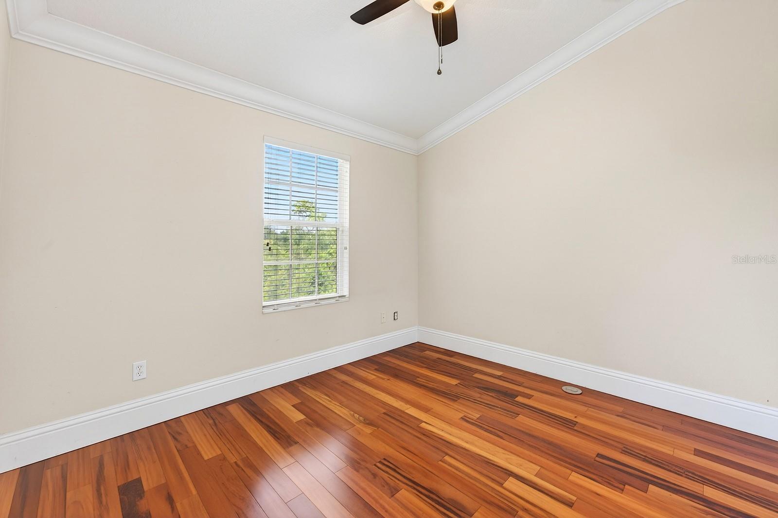 6390 SOUTHBRIDGE ST, WINDERMERE, FL, 34786