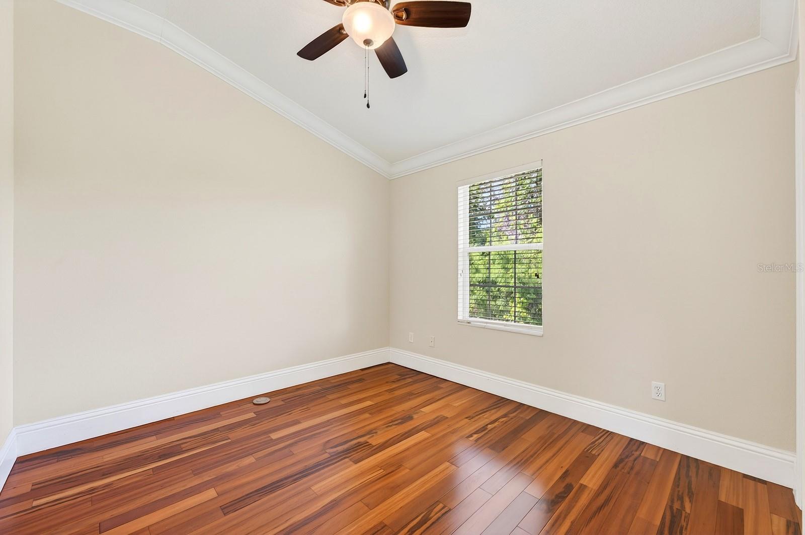 6390 SOUTHBRIDGE ST, WINDERMERE, FL, 34786