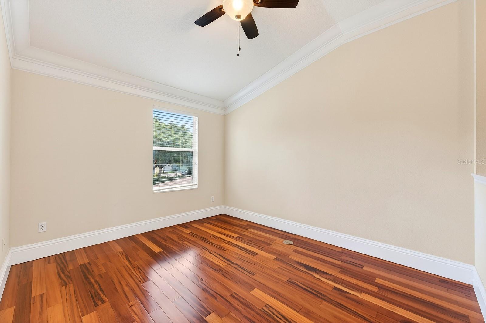 6390 SOUTHBRIDGE ST, WINDERMERE, FL, 34786