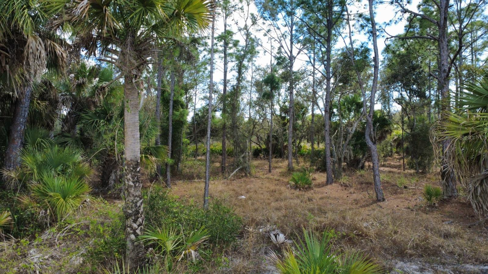 17455 BLY AVE, PORT CHARLOTTE, FL, 33948